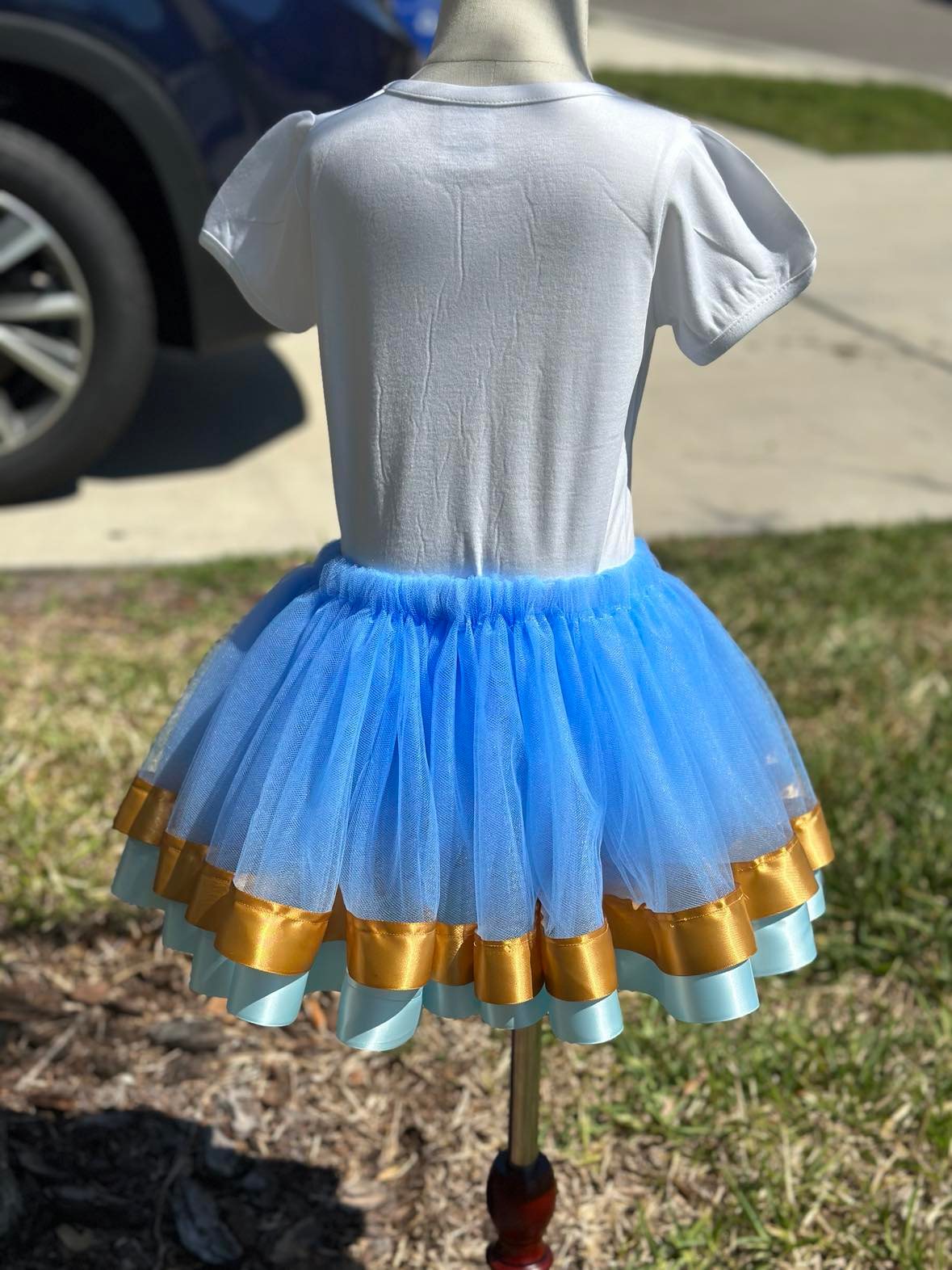 Bluey & Bingo Girl Tutu Set